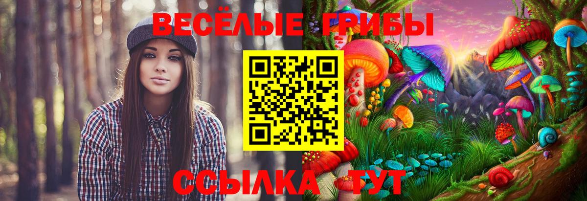 Барнаул  Псилоцибиновые грибы мухоморы  Вход с VPN 