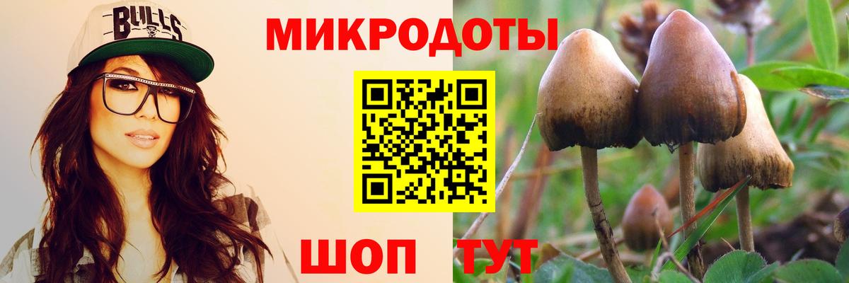 Псилоцибиновые грибы мухоморы Барнаул